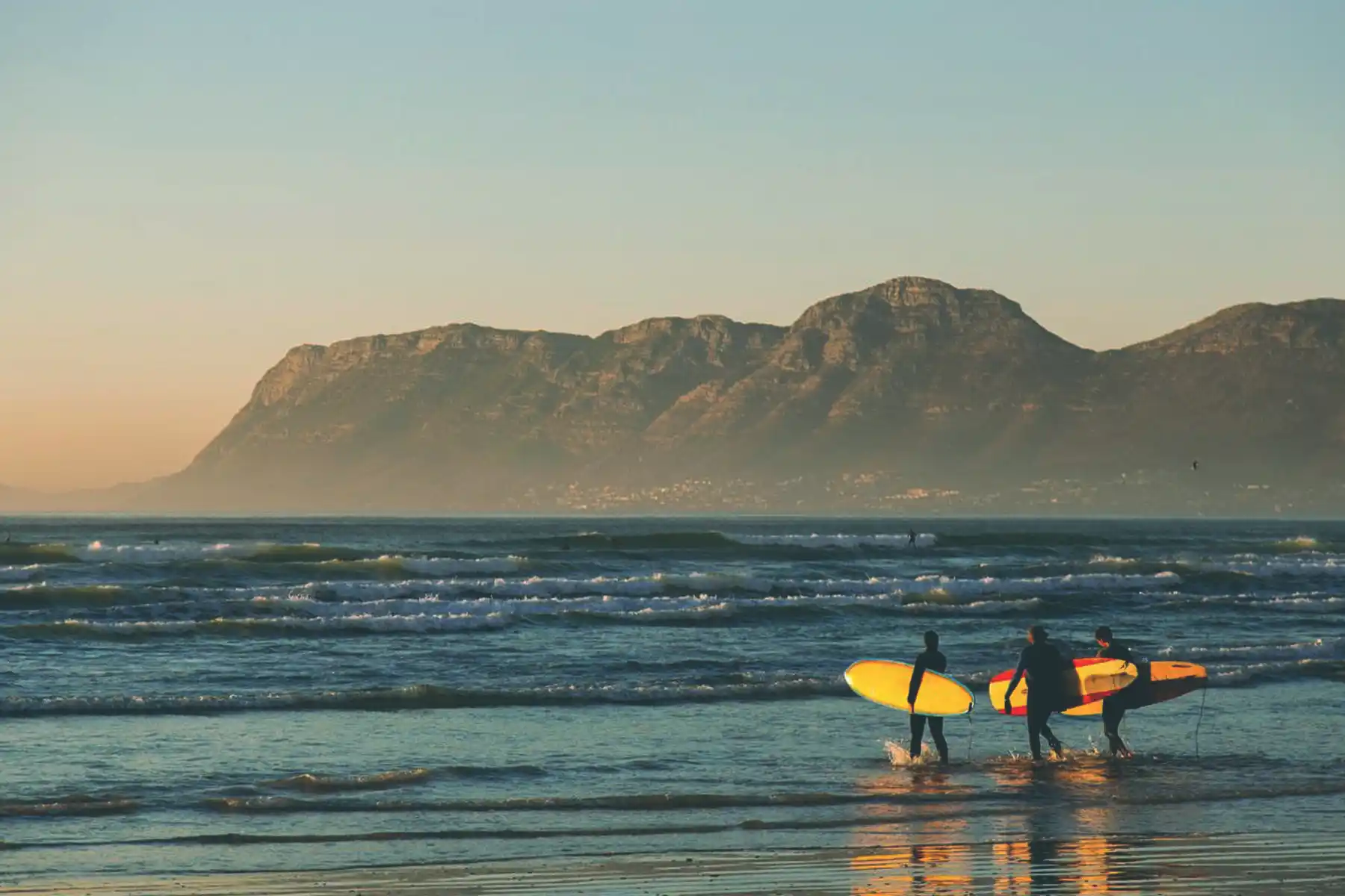 BulkSMS Aids Shark Spotters Beach Safety Efforts