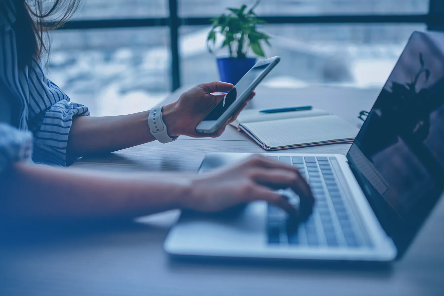 How to send business SMSes with BulkSMS.com