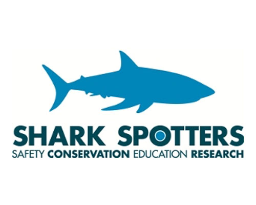 BulkSMS Aids Shark Spotters Beach Safety Efforts